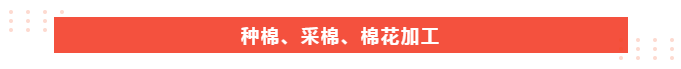 世界杯官方网站入口医纺